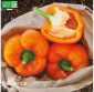 POIVRON California Wonder orange - Graines Bio