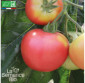 TOMATE Rose de Berne - Graines Bio