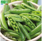 POIS à écosser demi-rame Rondo - Graines Bio