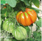 TOMATE Albenga rouge ou Liguria - Graines Bio
