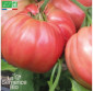 TOMATE Rosa - Graines Bio