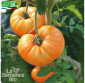 TOMATE Summer Cider - Graines Bio