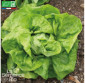 LAITUE pommée Kagraner sommer 2 - Graines Bio