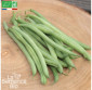 HARICOT vert nain Rugally - Graines Bio