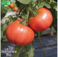 TOMATE 1884 - Graines Bio