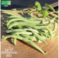 HARICOT vert à rame Cobra - Graines Bio