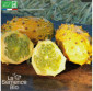 KIWANO - Graines Bio