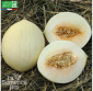 MELON Douceur de l\'Arc - Graines Bio