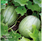 MELON Vieille France - Graines Bio