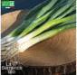 OIGNON CIBOULE Ishikura Long White - Graines Bio
