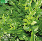 LAITUE à couper Cressonnette du Maroc - Graines Bio