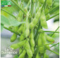 SOJA EDAMAME Chiba green - Graines Bio