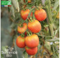 TOMATE Fuzzi Pêche rose - Graines Bio