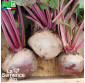 BETTERAVE de Détroit 2 - Graines Bio