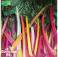 BLETTE cardes en mélange - Graines Bio