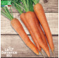 CAROTTE Rothild - Graines Bio