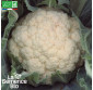 CHOU-FLEUR blanc Marzatico - Graines Bio