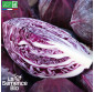CHOU CABUS rouge Tête noire 3 - Graines Bio