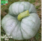 COURGE POTIRON Tristar - Graines Bio