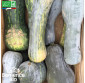 COURGE Langer von Neaple - Graines Bio
