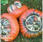 COURGE Giraumon Turban - Graines Bio