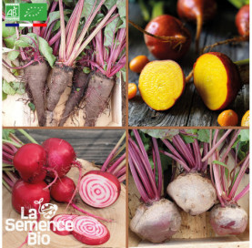 Photo de BETTERAVES en mélange - La Semence Bio
