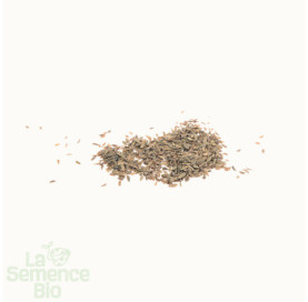 Graines de CAROTTE De Luc - La Semence Bio