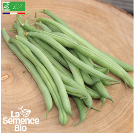 Photo de HARICOT vert nain Rugally - La Semence Bio