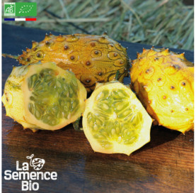 Photo de KIWANO  - La Semence Bio