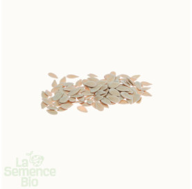 Graines de KIWANO  - La Semence Bio