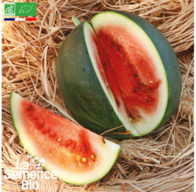 Photo de PASTÈQUE Sugar Baby - La Semence Bio