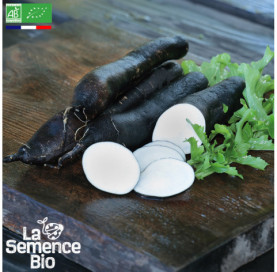 Photo de RADIS RAVE Long Noir Poids d'Horloge - La Semence Bio