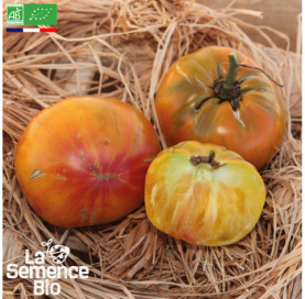 Photo de TOMATE Ananas - La Semence Bio