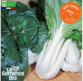 Photo de CHOU DE CHINE Pak-Choï Taï Saï - La Semence Bio