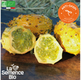 Photo de KIWANO  - La Semence Bio