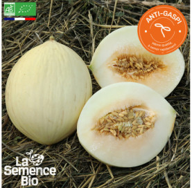 Photo de MELON Douceur de l'Arc - La Semence Bio