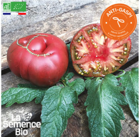 Photo de TOMATE Brandywine Joyce - La Semence Bio