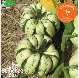 Photo de COURGE Sweet Dumpling Patidou - La Semence Bio