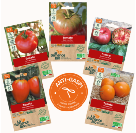 Photo de PAQ de PACK 5 SACHETS ANTI-GASPI Panaché de tomate - La Semence Bio