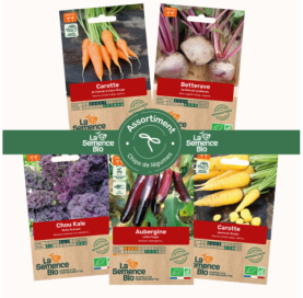 Photo de PAQ d'ASSORTIMENT Chips de légumes - La Semence Bio