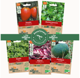Photo de PAQ d'ASSORTIMENT Salade d'été originale - La Semence Bio