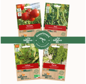 Photo de PAQ d'ASSORTIMENT Salade printanière - La Semence Bio