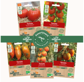 Photo de PAQ d'ASSORTIMENT Un délice de tomates - La Semence Bio