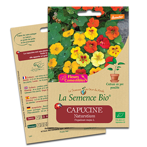Capucine semences bio La Semence Bio Capucine semences bio La Semence Bio