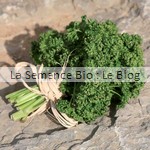 aromate semences bio - graines pour potager