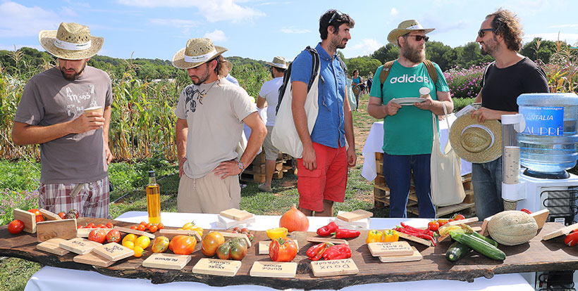 ferme semencière 100% Bio - La semence bio