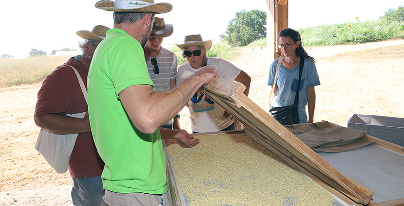 ferme semencière 100% Bio - La semence bio