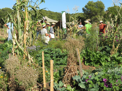 ferme semencière 100% Bio - La semence bio