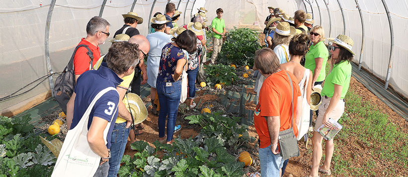 ferme semencière 100% Bio - La semence bio