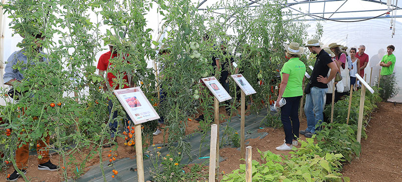 ferme semencière 100% Bio - La semence bio